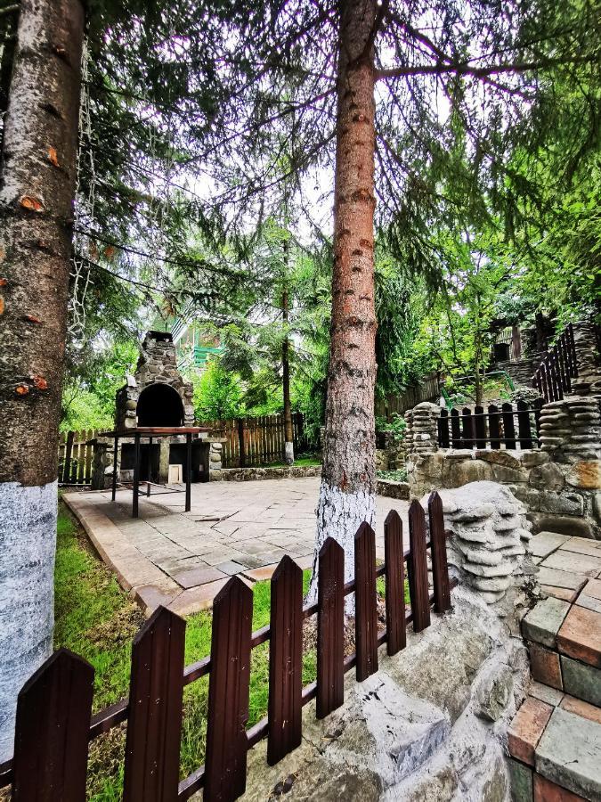 Cabana Brazilor Cîmpina Dış mekan fotoğraf